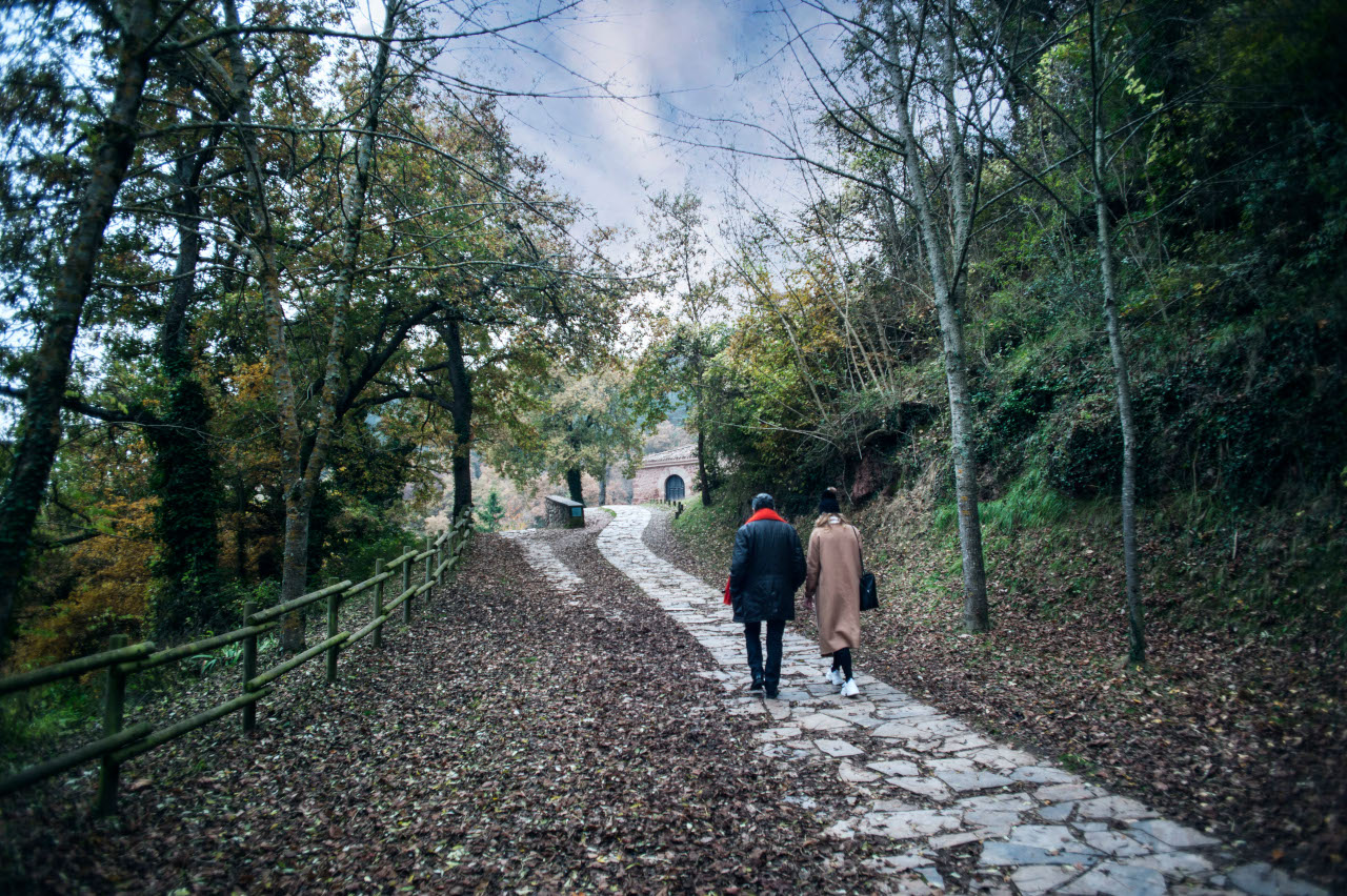 Camino al Monasterio de Suso